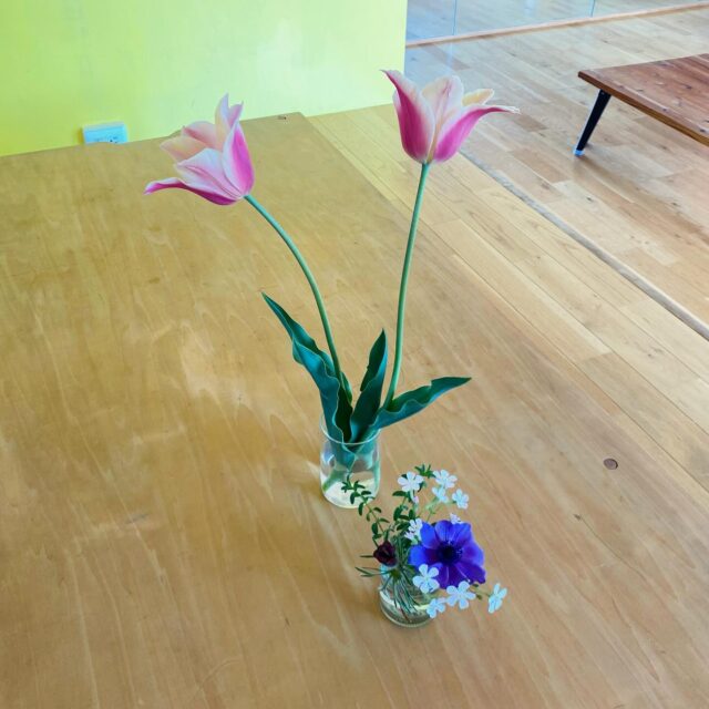 みんなのにお花が〜！